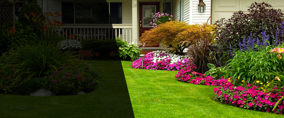 Long Beach Landscapers